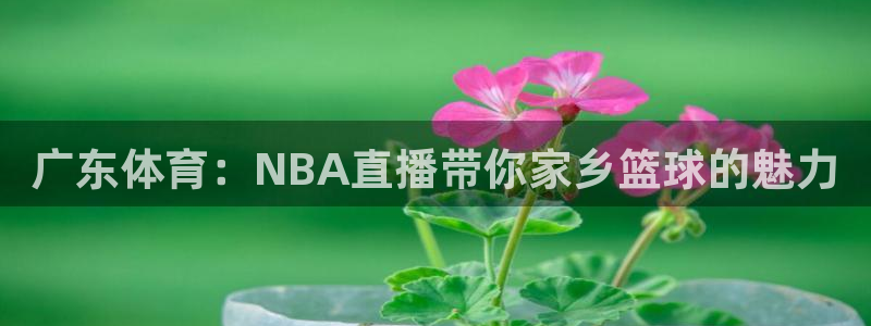 龙门直播吧：广东体育：NBA直播带你家乡篮球的魅力