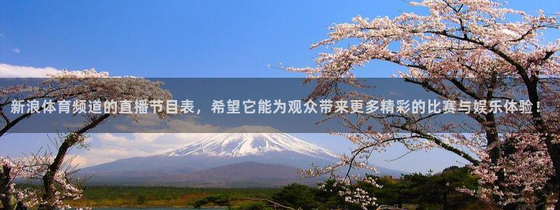 龙门直播英超：新浪体育频道的直播节目表，希望它能为观众带来更多精彩的比赛与娱乐体验！