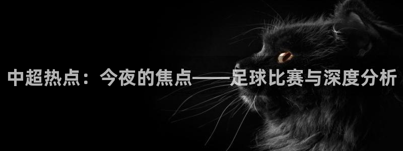 龙门直播网球：中超热点：今夜的焦点——足球比赛与深度分析