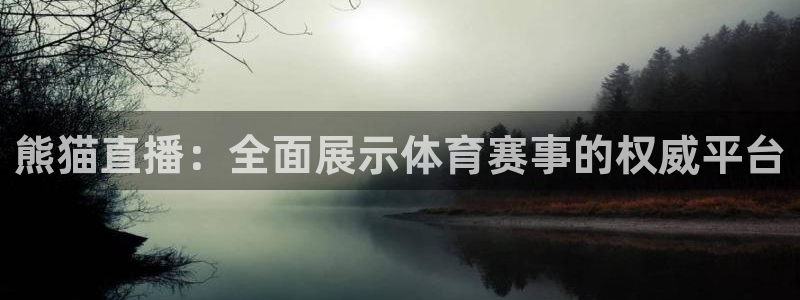 龙门直播是正规平台吗：熊猫直播：全面展示体育赛事的权威平台