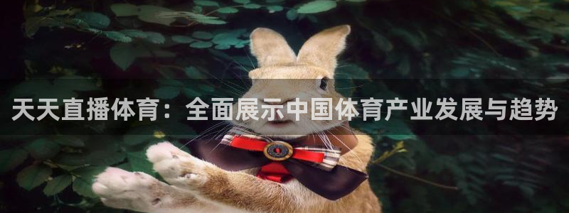 龙门直播体育免费观看：天天直播体育：全面展示中国体育产业发展与趋势