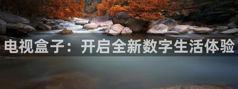 龙门直播nba免费直播：电视盒子：开启全新数字生活体验
