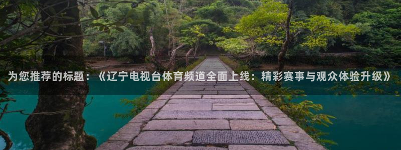 nba龙门直播在线观看免费：为您推荐的标题：《辽宁电视台体育频道全面上线：精彩赛事与观众体验升级》
