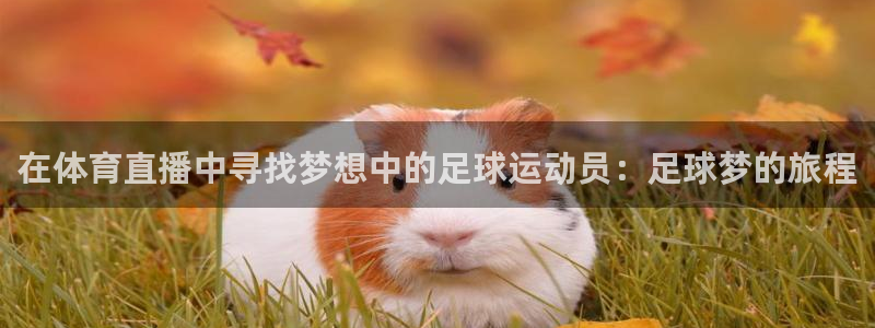 龙门直播篮球比赛：在体育直播中寻找梦想中的足球运动员：足球梦的旅程