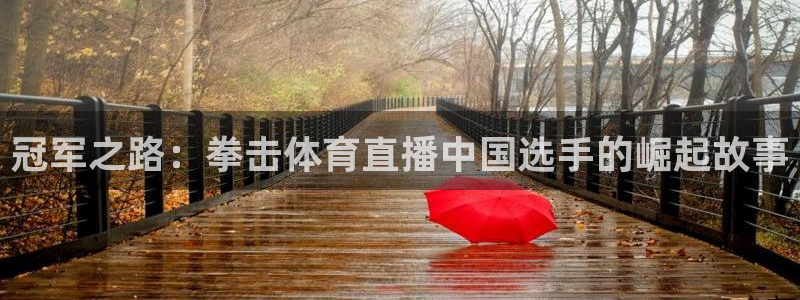 nba龙门直播免费观看：冠军之路：拳击体育直播中国选手的崛起故事