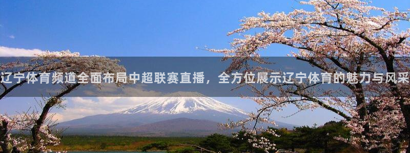 龙门直播?：辽宁体育频道全面布局中超联赛直播，全方位展示辽宁体育的魅力与风采