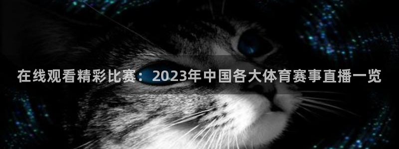 龙门直播免费体育直播在线观看：在线观看精彩比赛：2023年中国各大体育赛事直播一览