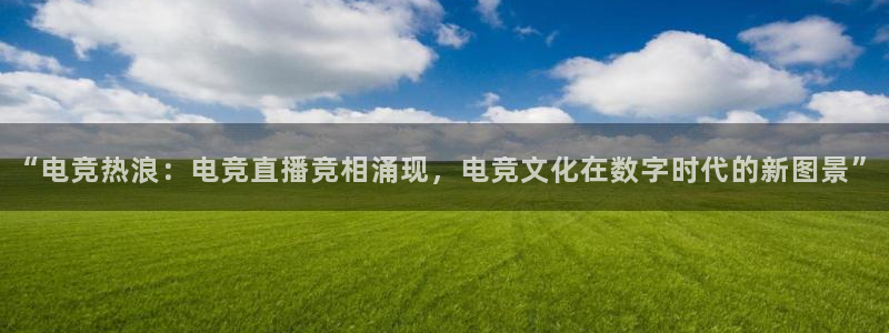龙门直播体育免费观看篮球：“电竞热浪：电竞直播竞相涌现，电竞文化在数字时代的新图景”