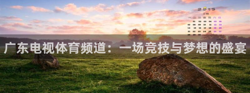龙门直播?：广东电视体育频道：一场竞技与梦想的盛宴